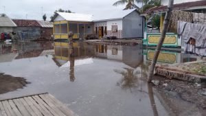 Banjir rob banjir