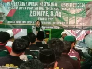 zaeniye