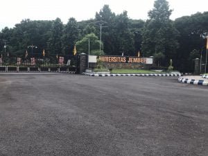 unej peli
