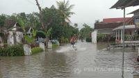 IMG-20210206-WA0082