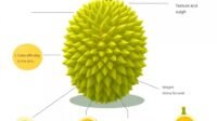superai-image-1735650251625.webp.jpeg
